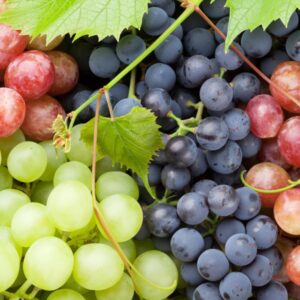 Grapes per box (500g)