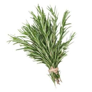 Rosemary