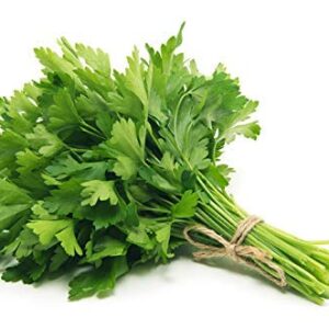 Fresh Parsley (Large)