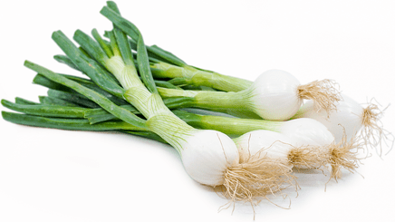 Spring Onions (per bunch)