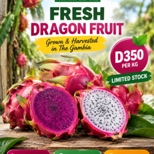 Dragon Fruit per kg